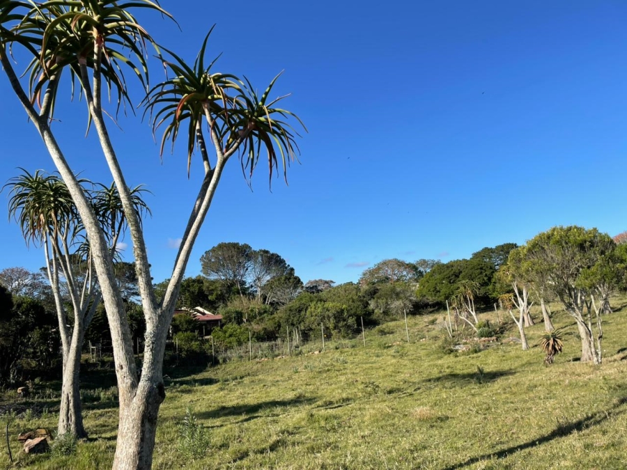 0 Bedroom Property for Sale in Bathurst Eastern Cape